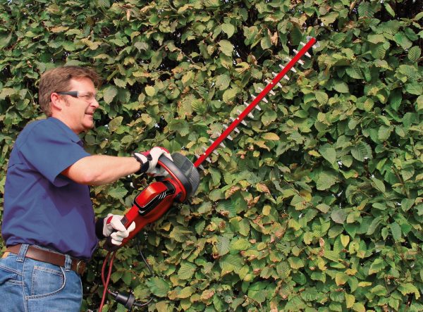 einhell-gc-eh-6055/1-nożyce-do-żywopłotu-3403320